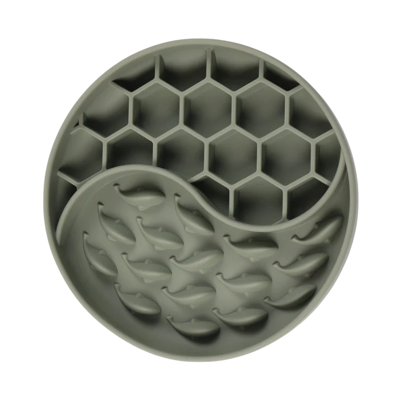 Slow Feeder Fish