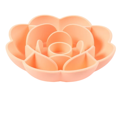 Slow Feeder Rose